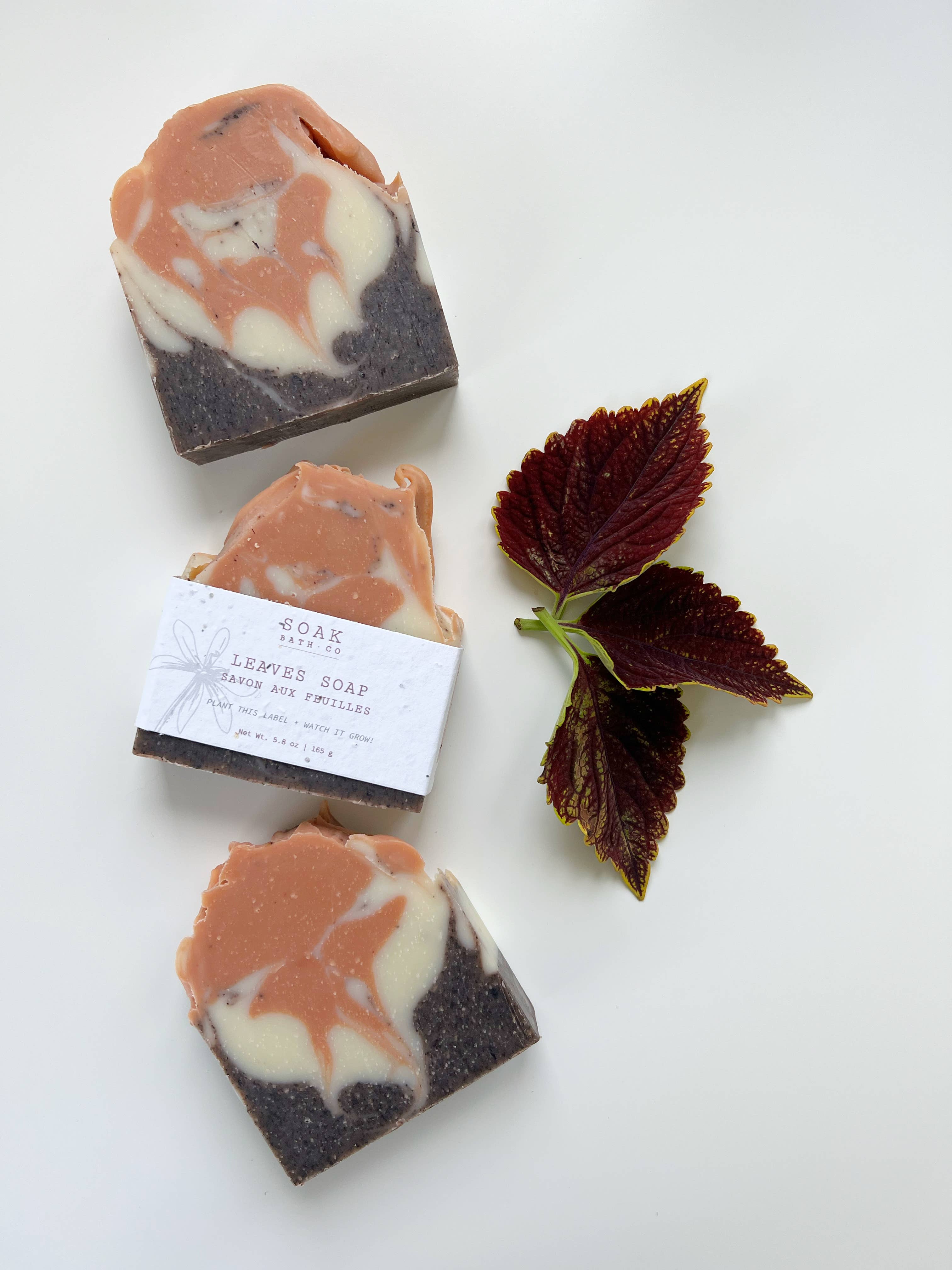 SOAK Bath Co: Soap Bar, Leaves — Fall Collection