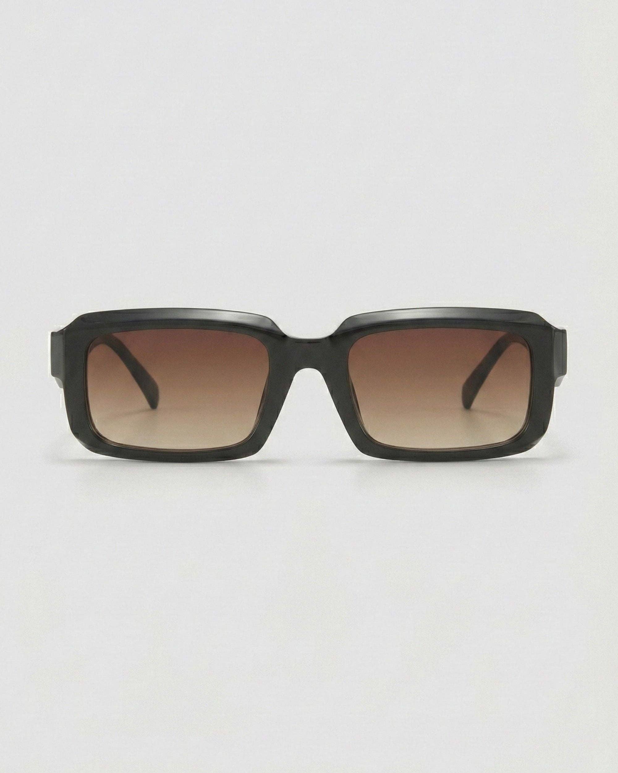 Danni Polarized Sunglasses: Brown