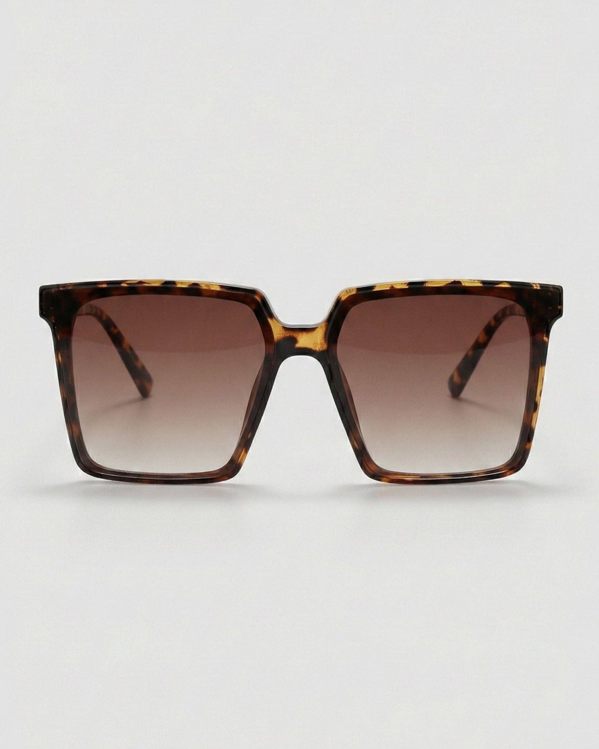 Pasadena: Tortoise
