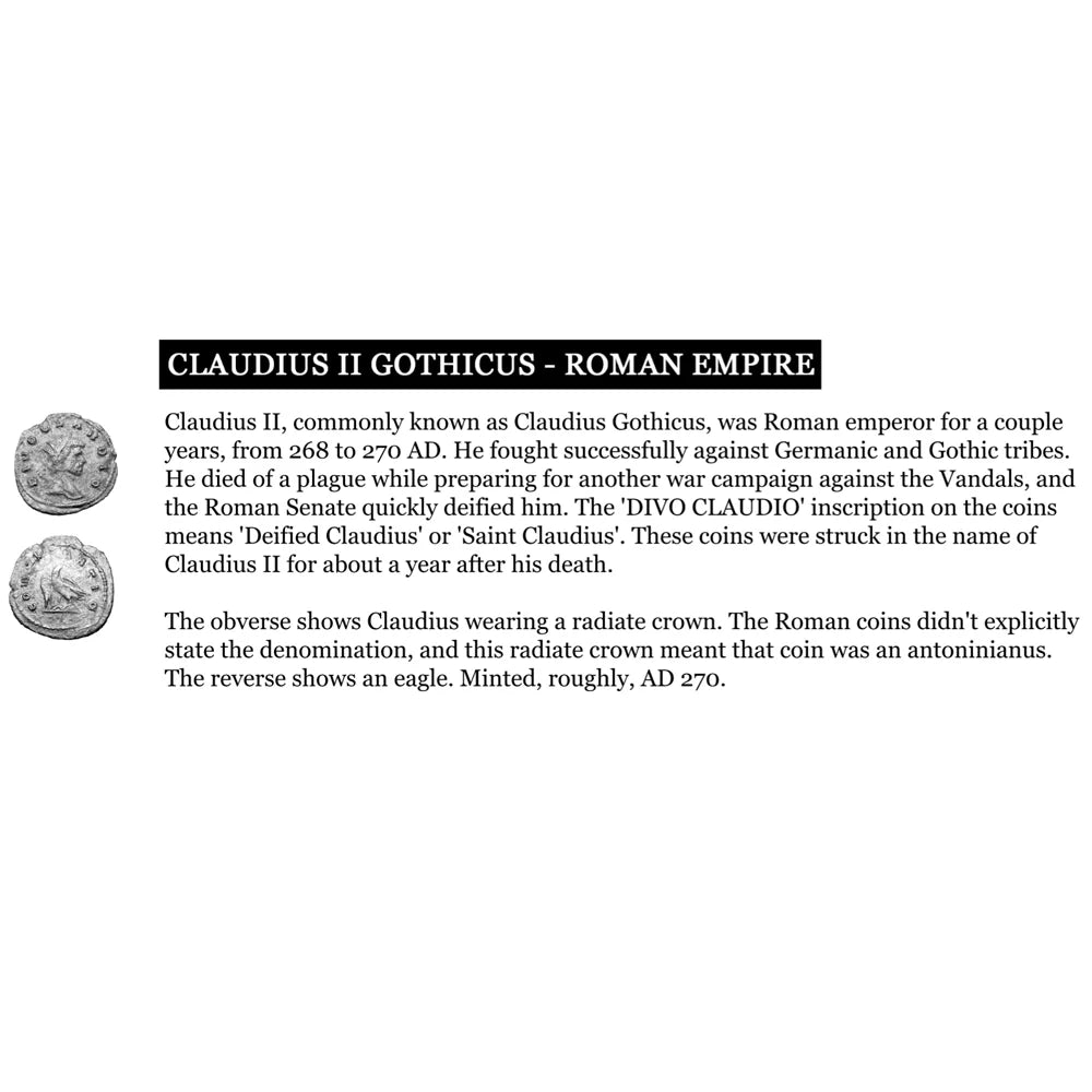 TAT2 DESIGNS Gold Pavia Coin & Pavé Frame Necklace