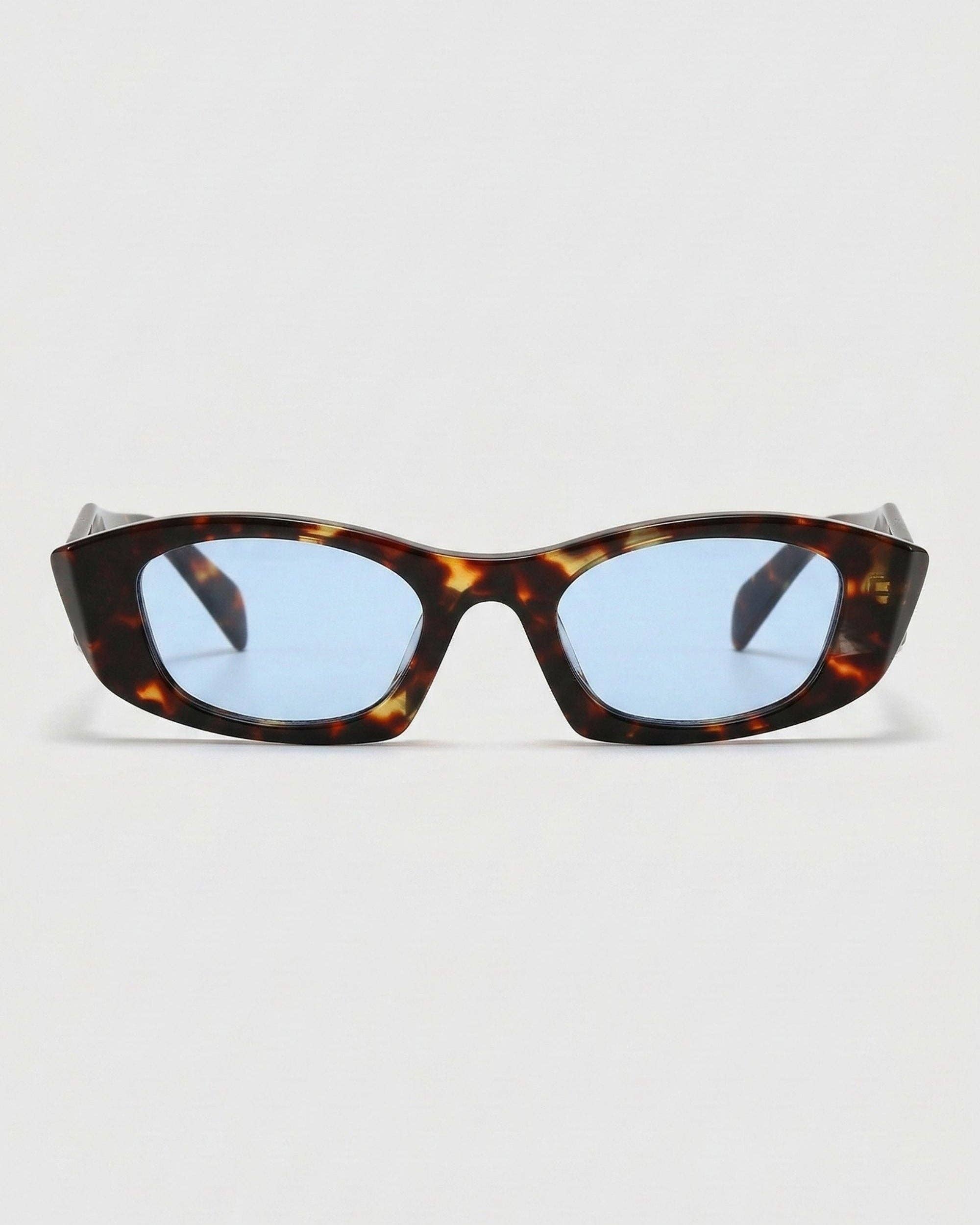 Gia: Torte / Polarized + 100% UV Protection