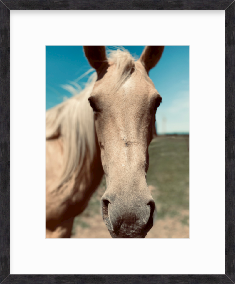 Sol + Loom Framed Photography