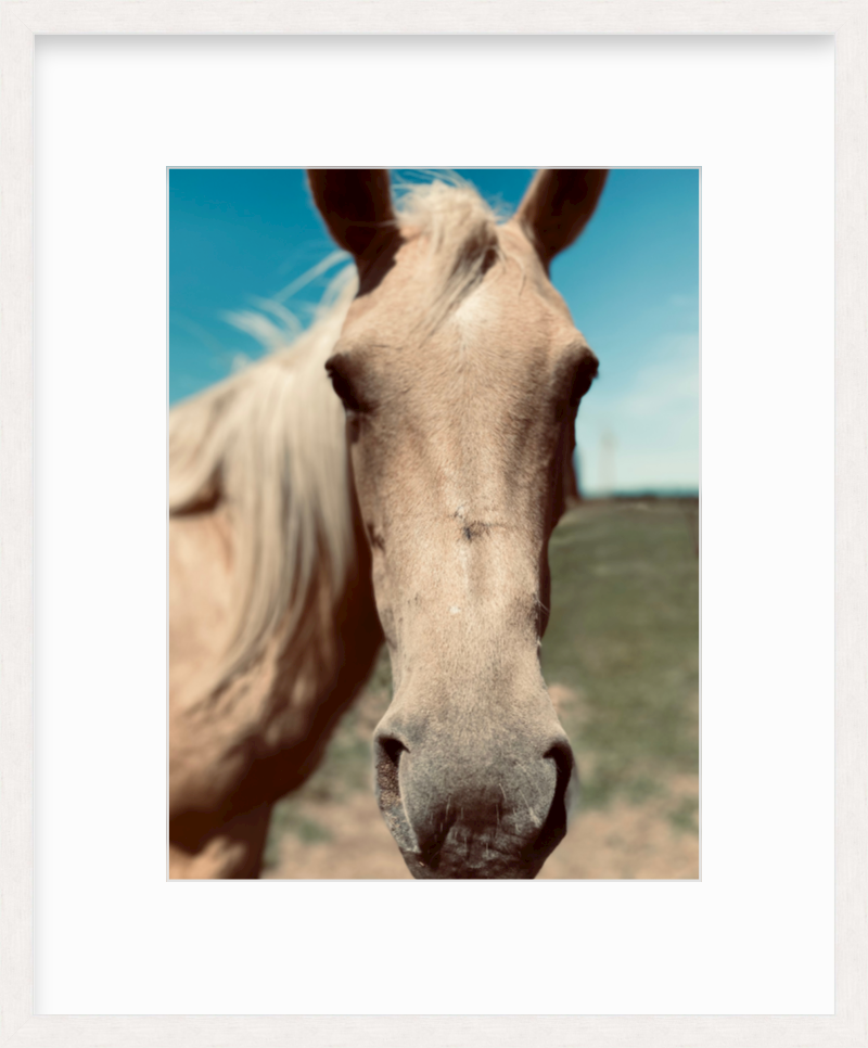 Sol + Loom Framed Photography